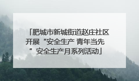 肥城市新城街道赵庄社区开展“安全生产 青年当先”安全生产月系列活动