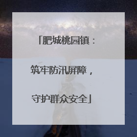 肥城桃园镇：筑牢防汛屏障，守护群众安全