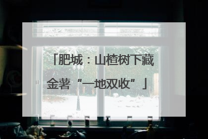 肥城：山楂树下藏金薯“一地双收”