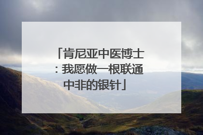 肯尼亚中医博士：我愿做一根联通中非的银针