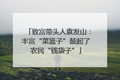 致富带头人袁发山：丰富“菜篮子”鼓起了农民“钱袋子”
