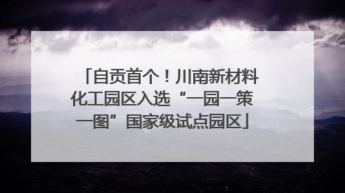 自贡首个！川南新材料化工园区入选“一园一策一图”国家级试点园区