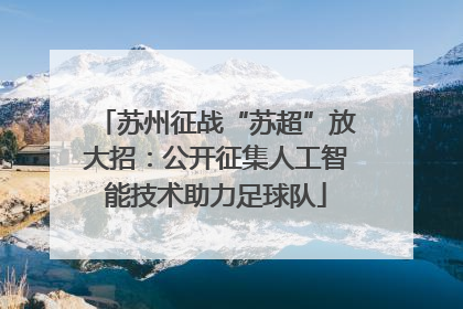 苏州征战“苏超”放大招：公开征集人工智能技术助力足球队