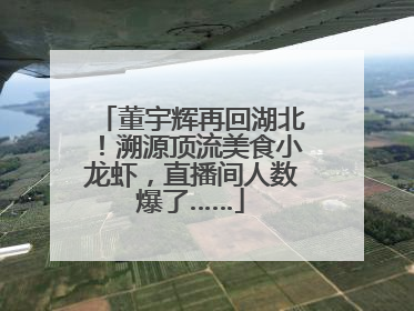 董宇辉再回湖北！溯源顶流美食小龙虾，直播间人数爆了……
