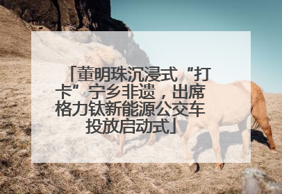 董明珠沉浸式“打卡”宁乡非遗，出席格力钛新能源公交车投放启动式