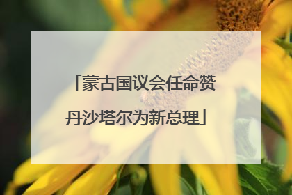 蒙古国议会任命赞丹沙塔尔为新总理