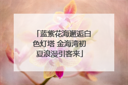 蓝紫花海邂逅白色灯塔 金海湾初夏浪漫引客来