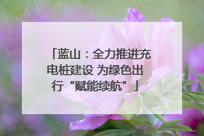 蓝山：全力推进充电桩建设 为绿色出行“赋能续航”
