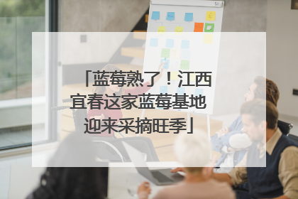 蓝莓熟了！江西宜春这家蓝莓基地迎来采摘旺季