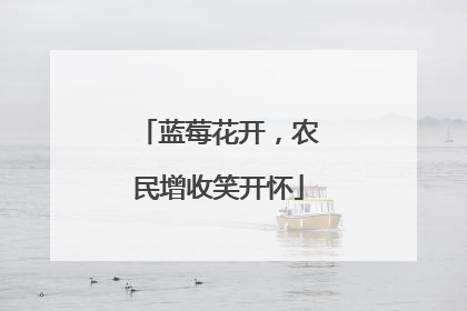 蓝莓花开，农民增收笑开怀