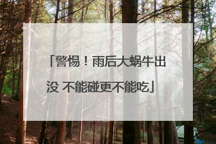 警惕！雨后大蜗牛出没 不能碰更不能吃