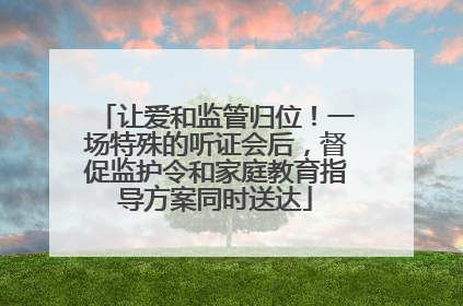 让爱和监管归位！一场特殊的听证会后，督促监护令和家庭教育指导方案同时送达