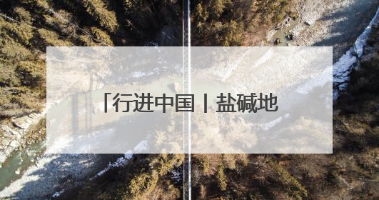 行进中国丨盐碱地上“渔歌”嘹亮