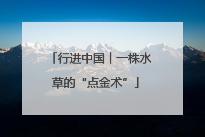 行进中国丨一株水草的“点金术”