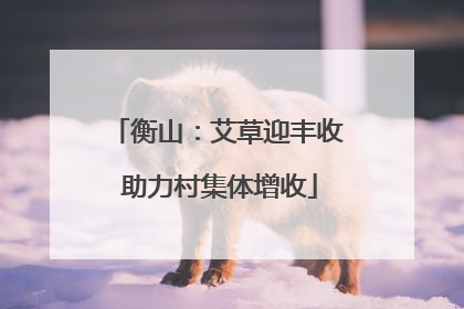衡山：艾草迎丰收 助力村集体增收