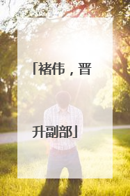 褚伟，晋升副部