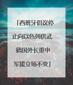 西班牙倡议停止向以色列供武 德国外长重申军援立场不变