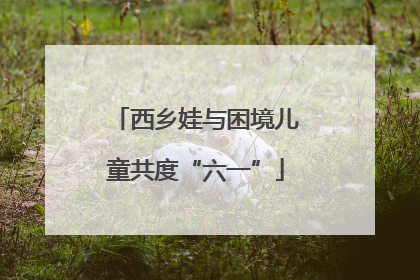 西乡娃与困境儿童共度“六一”