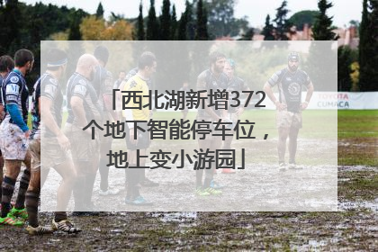 西北湖新增372个地下智能停车位，地上变小游园