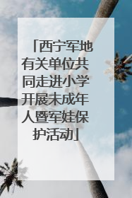 西宁军地有关单位共同走进小学开展未成年人暨军娃保护活动