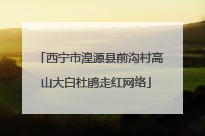 西宁市湟源县前沟村高山大白杜鹃走红网络