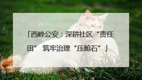 西峰公安：深耕社区“责任田” 筑牢治理“压舱石”