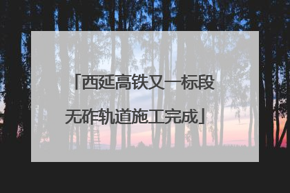 西延高铁又一标段无砟轨道施工完成