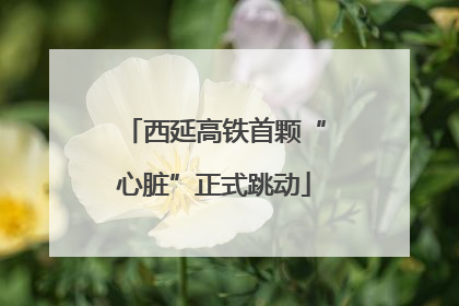 西延高铁首颗“心脏”正式跳动