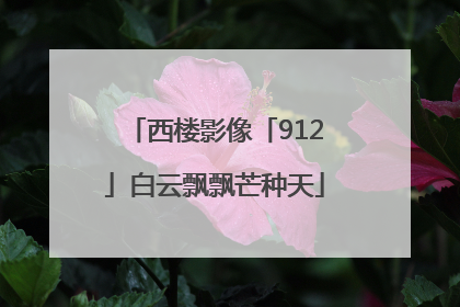 西楼影像「912」白云飘飘芒种天
