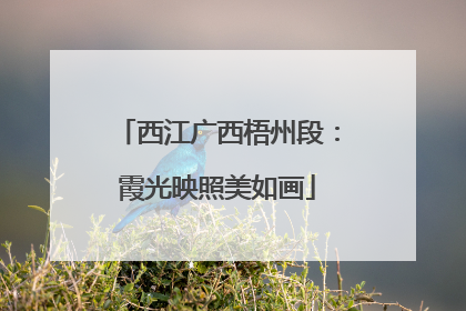 西江广西梧州段：霞光映照美如画