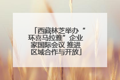 西藏林芝举办“环喜马拉雅”企业家国际会议 推进区域合作与开放
