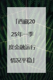 西藏2025年一季度金融运行情况平稳