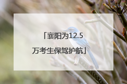 襄阳为12.5万考生保驾护航