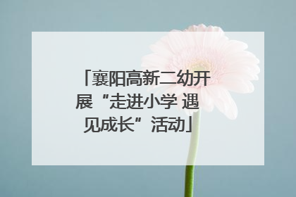 襄阳高新二幼开展“走进小学 遇见成长”活动
