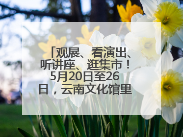 观展、看演出、听讲座、逛集市！5月20日至26日，云南文化馆里玩场多