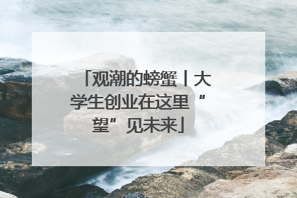观潮的螃蟹丨大学生创业在这里“望”见未来