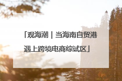 观海潮｜当海南自贸港遇上跨境电商综试区