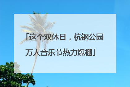 这个双休日，杭钢公园万人音乐节热力爆棚