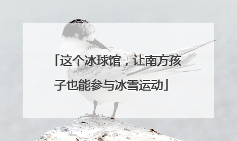 这个冰球馆，让南方孩子也能参与冰雪运动