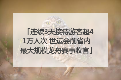 连续3天接待游客超41万人次 世运会前省内最大规模龙舟赛事收官