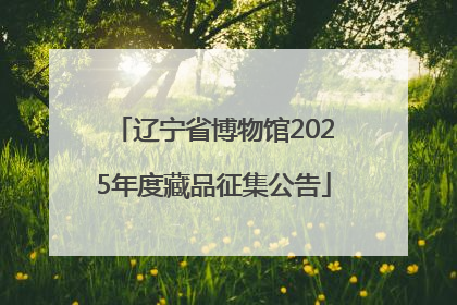 辽宁省博物馆2025年度藏品征集公告