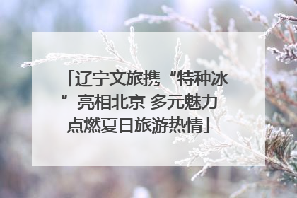 辽宁文旅携“特种冰”亮相北京 多元魅力点燃夏日旅游热情