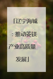 辽宁海城：推动菱镁产业高质量发展