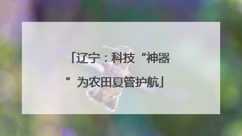 辽宁：科技“神器”为农田夏管护航