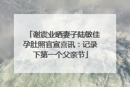 谢震业晒妻子陆敏佳孕肚照官宣喜讯：记录下第一个父亲节