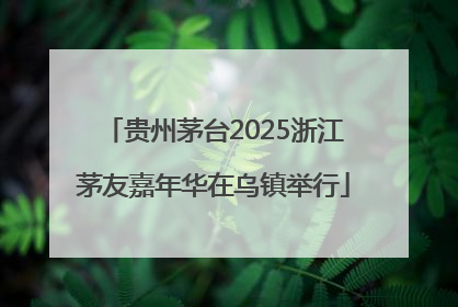 贵州茅台2025浙江茅友嘉年华在乌镇举行