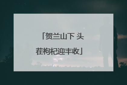 贺兰山下 头茬枸杞迎丰收