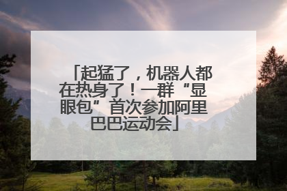 起猛了，机器人都在热身了！一群“显眼包”首次参加阿里巴巴运动会