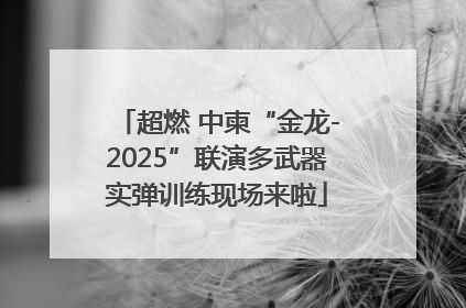 超燃 中柬“金龙-2025”联演多武器实弹训练现场来啦