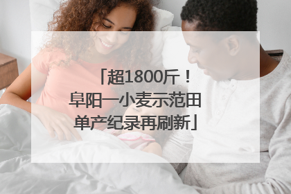 超1800斤！阜阳一小麦示范田单产纪录再刷新